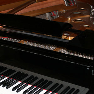 Minnie Kahn - transcribing